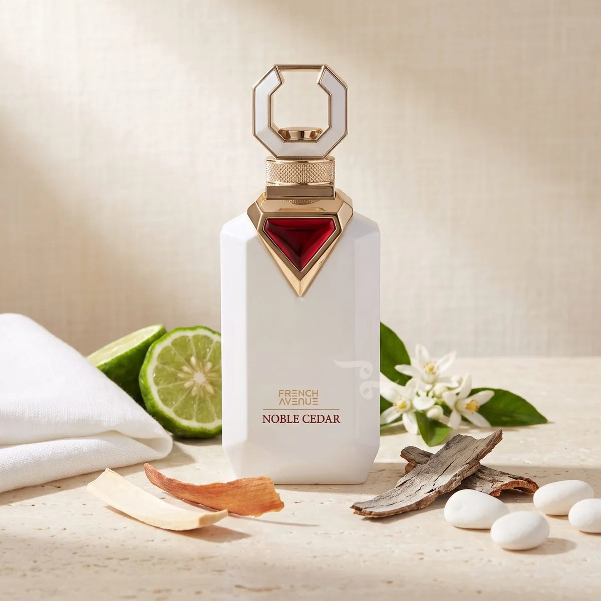 French Avenue Noble Cedar Eau de Parfum 100 ml | Perfume Cítrico y Amaderado Unisex