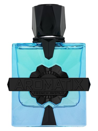 Aromatix Magnetiq French Avenue Eau de Parfum 100 ml Unisex – Perfume Aromático Cítrico Amaderado con Notas Frescas y Ámbar