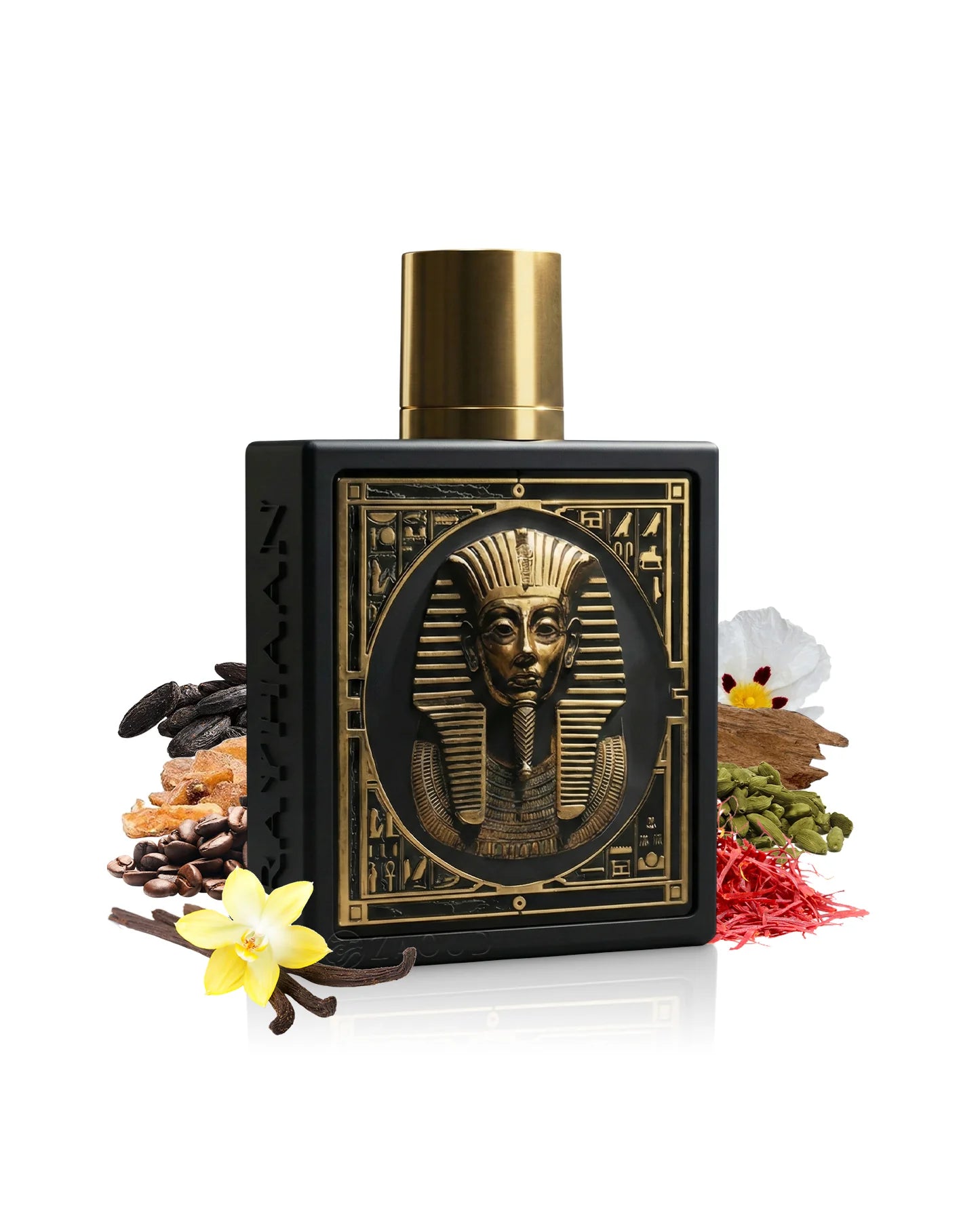 Rayhaan Pharaoh Eau de Parfum 100 ml – Perfume Oriental Amaderado Unisex