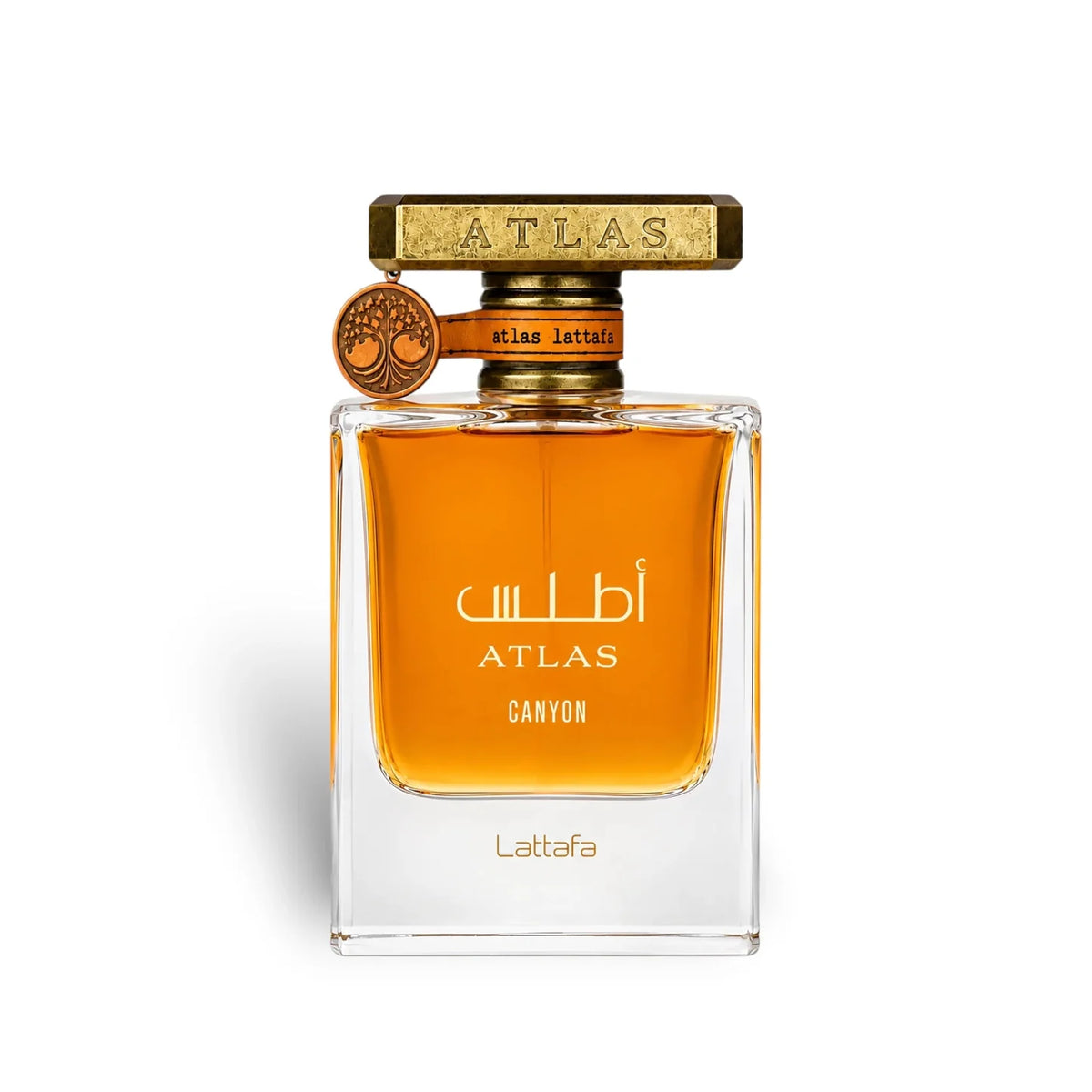 Lattafa Atlas Canyon Eau de Parfum 100 ml | Perfume Cítrico, Verde y Acuático unisex