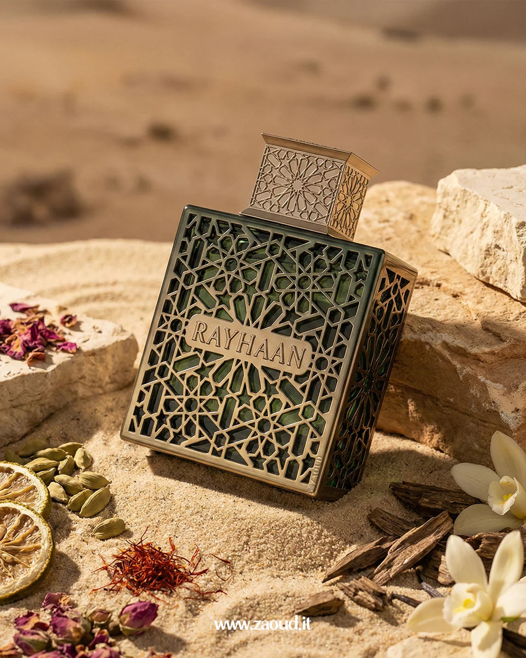 Rayhaan Terra Eau de Parfum 100 ml – Perfume masculino Ámbar Especiado Aromático para Hombre