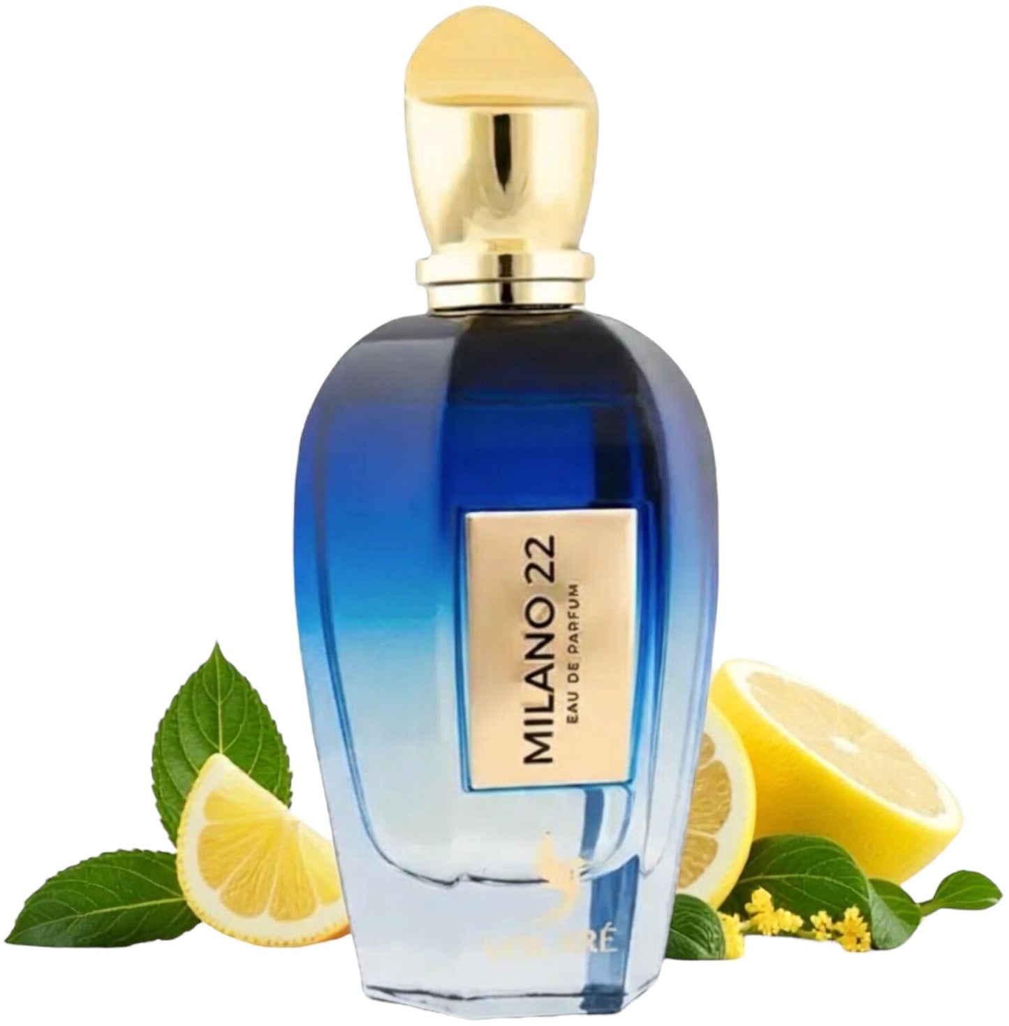 Volare Milano 22 Eau de Parfum 100 ml Unisex – Perfume Fresco Cítrico Aromático con Menta, Limón y Lavanda